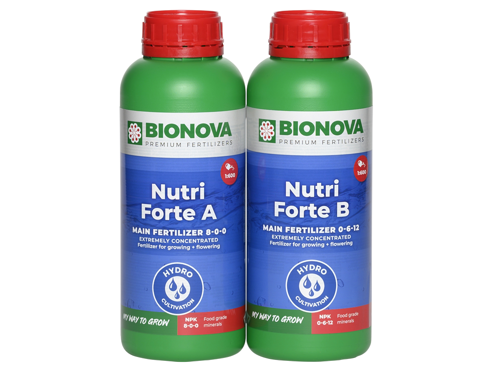 Bionova Nutri Forte A+B – Professioneller Zweikomponenten-Basisdünger für Hydroponik