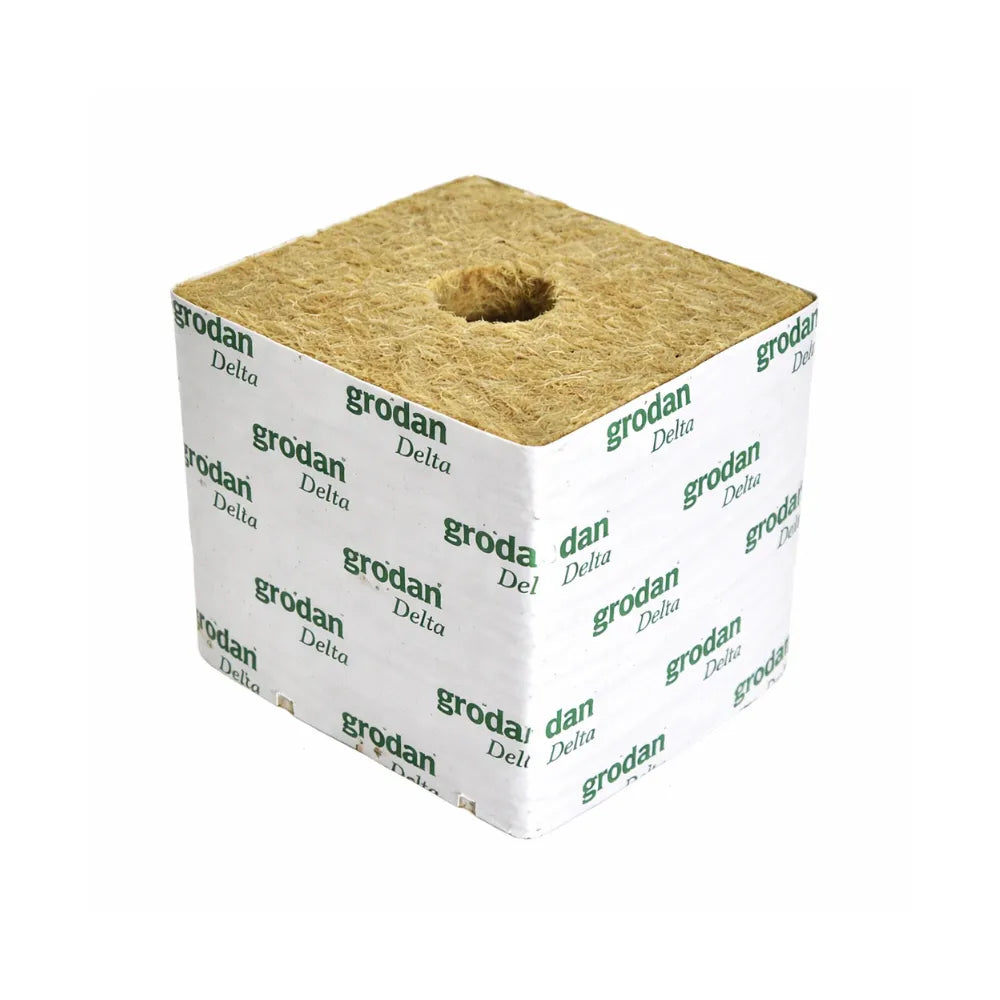 Grodan Hugo Block 15x15 Steinwollblock für Anzucht 