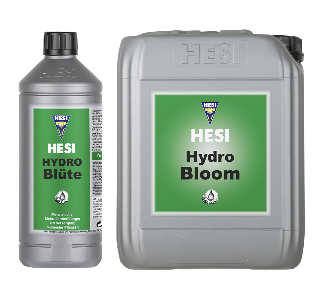 Hesi Hydro Blüte