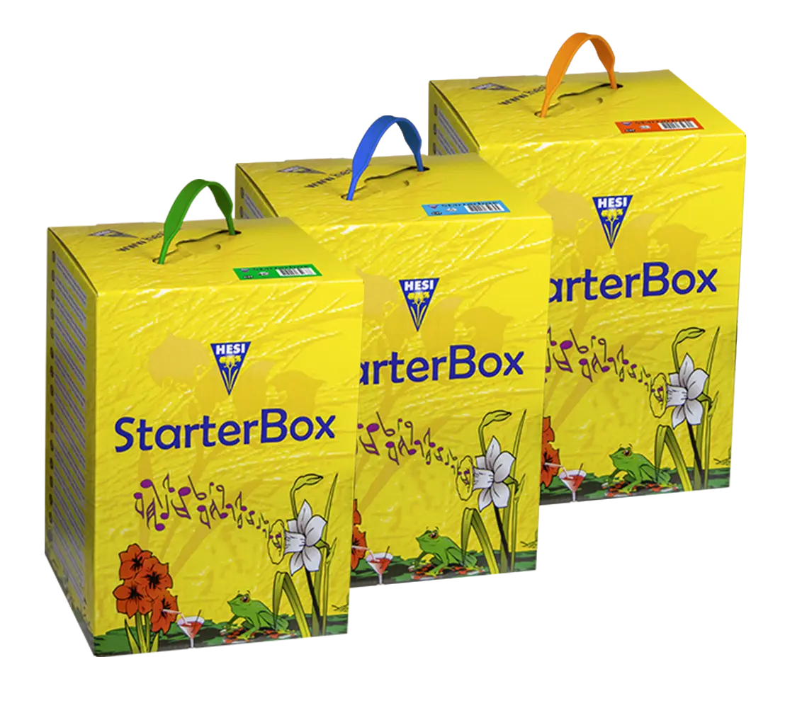 Hesi Starterbox Einsteigerset für Erde, Hydro und Coco