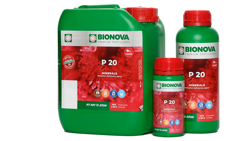 Bionova P 20 - Flaschen in 250 ml, 1 l und 5 l ⠋
