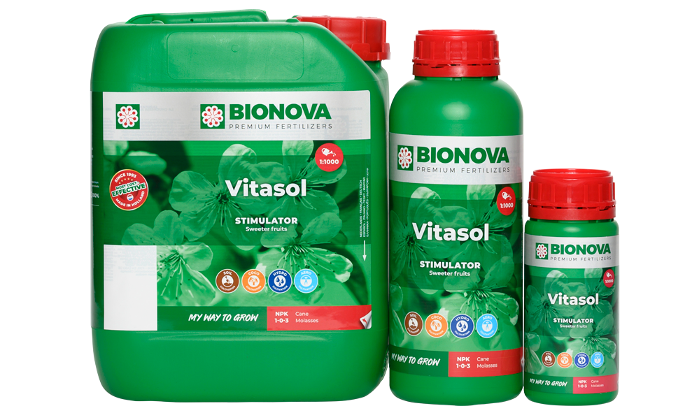 Bionova Vitasol - Produktset in verschiedenen Gebindegrössen